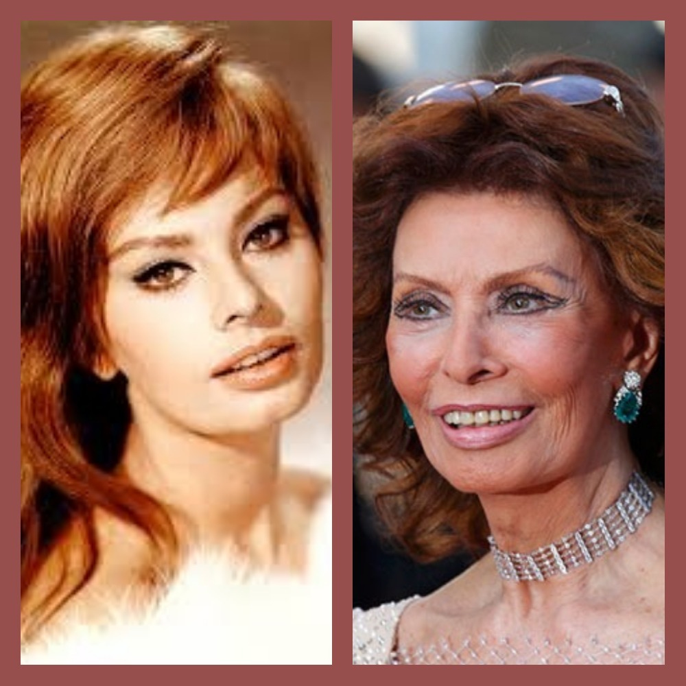 Фото софи лорен в молодости и сейчас. Софи Лорен в молодости и сейчас. Sophia Loren тогда и сейчас. Софи Лорен Тип старения. Софи Лорен Тип старения лица.