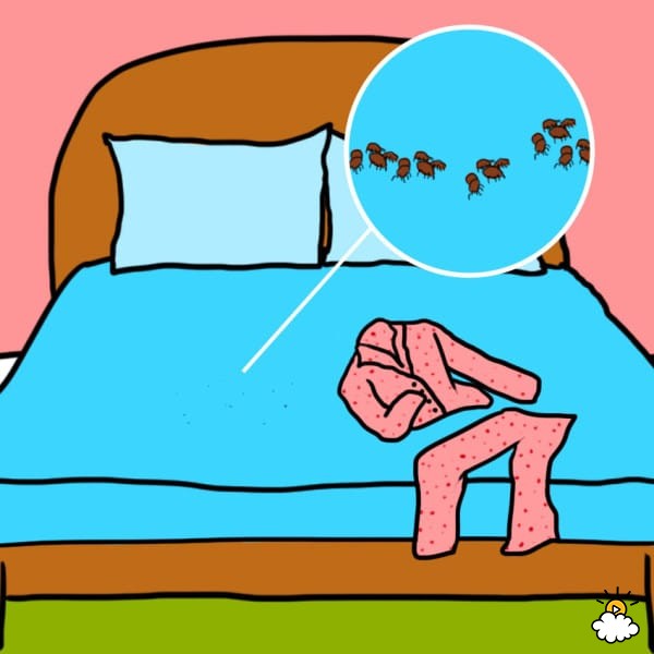 8 причин, почему нельзя спать в одной и той же пижаме 2 дня подряд