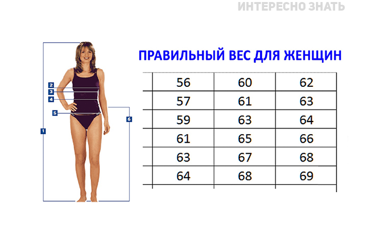 Рост 176 вес 72 девушка фото