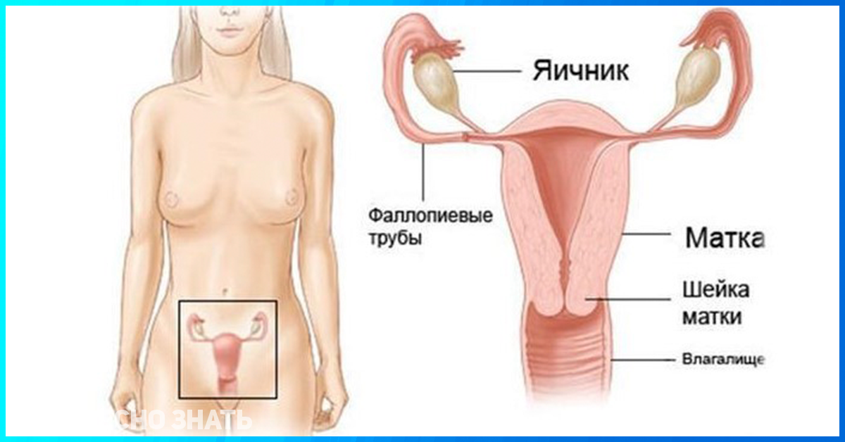 Что нельзя делать во время месячных: правда и мифы