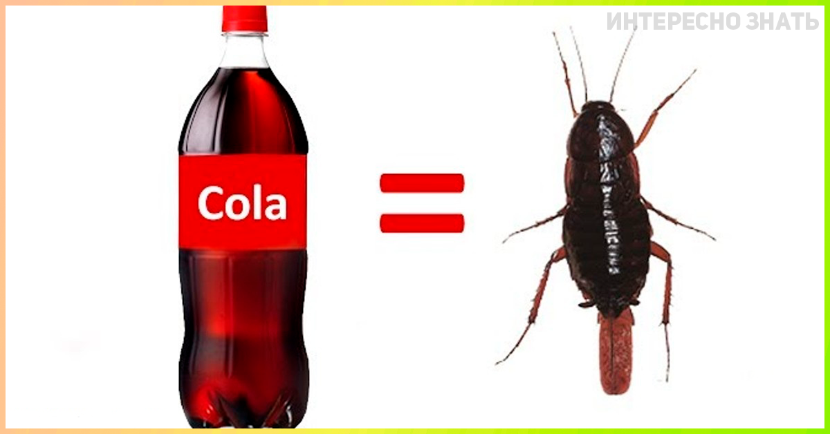 Секретный ингредиент Кока-Колы, узнав о котором, вы перестанете ее пить