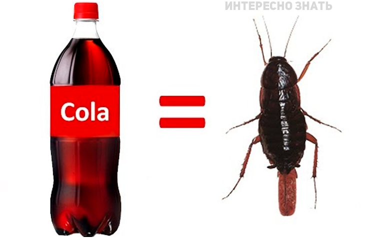 Секретный ингредиент Кока-Колы, узнав о котором, вы перестанете ее пить