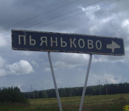 Такое могло быть только в России: 12 веселых дорожных знаков с просторов нашей страны 38
