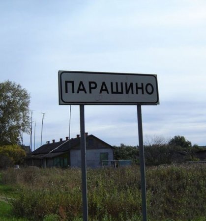 Такое могло быть только в России: 12 веселых дорожных знаков с просторов нашей страны 45
