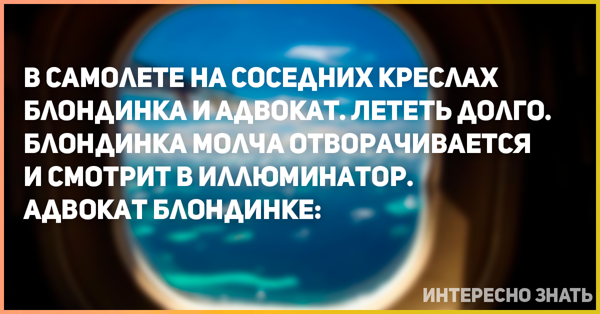 На соседних креслах блондинка и адвокат