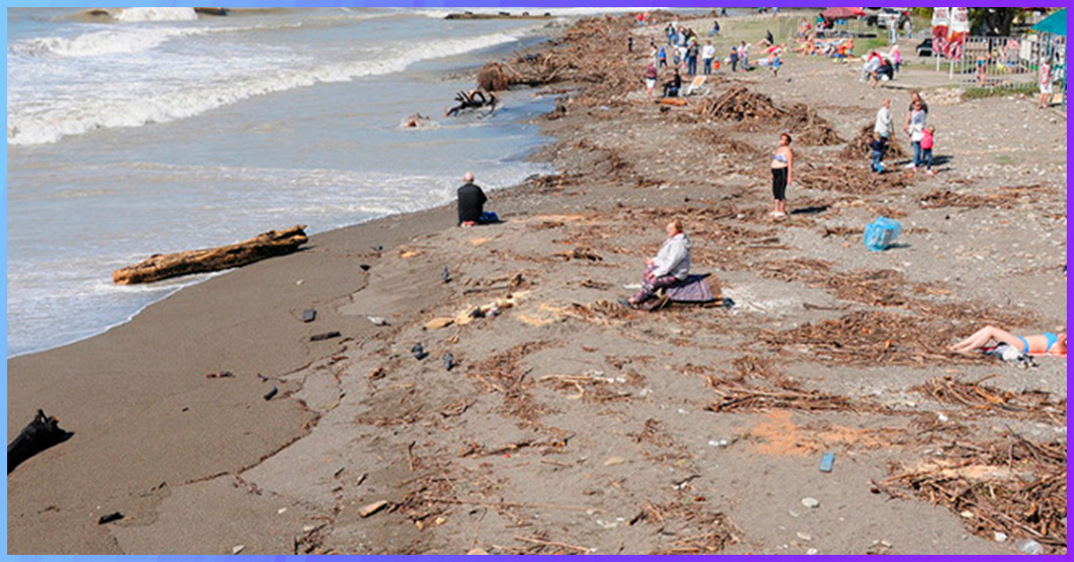 Самое страшное лето. Сочи море грязь. Грязный пляж черное море. Ужасный пляж.