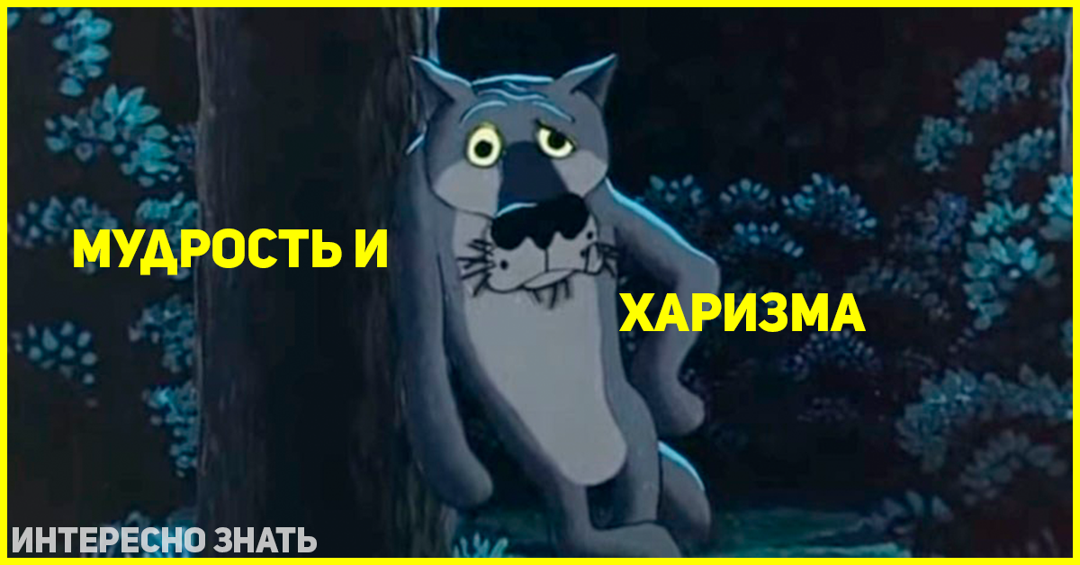 Жил был друг. Мудрость и харизма волк. Жил был пёс Луна. Пьяный волк из мультика. Волк воет жил был пес.