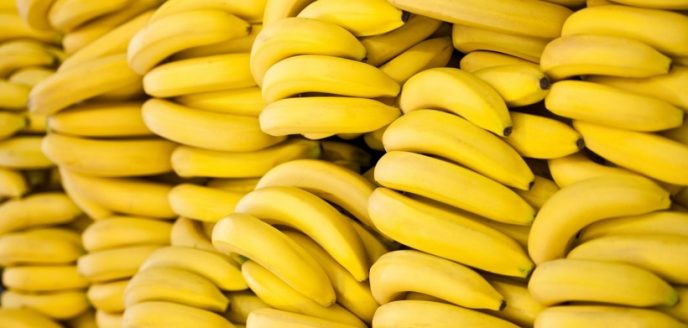 Крупные торговые сети России покупают зеленые бананы. Они их обрабатывают газом и вызывают искусственное созревание 19