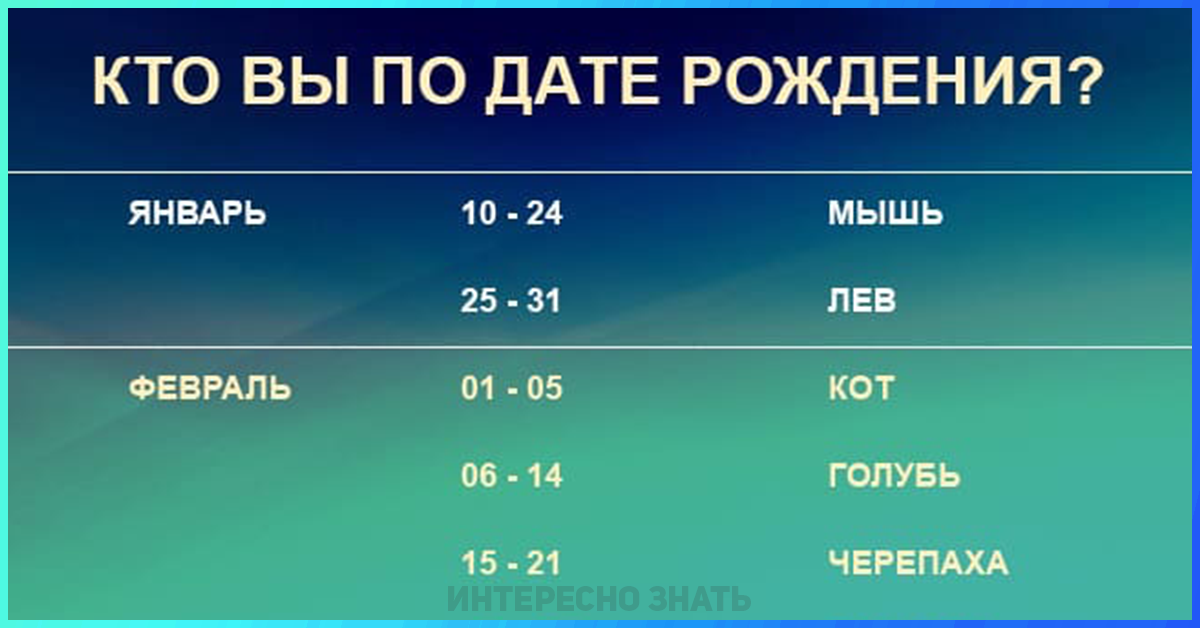 Как узнать свое животное по дате рождения. Животное по дате рождения. Животное по числу рождения. Моё животное по дате рождения. Какое ты животное по дате рождения.