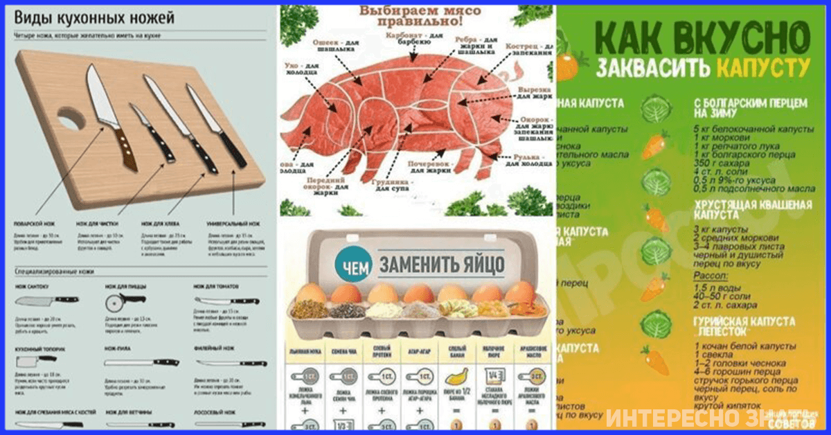 Шпаргалки на кухню хозяйке картинки