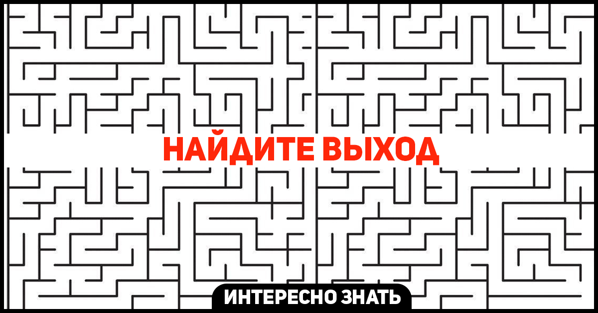 Найти выход был. Головоломка Найди выход. Лабиринт за грибами. Найдите выход. Лабиринт найти выход.