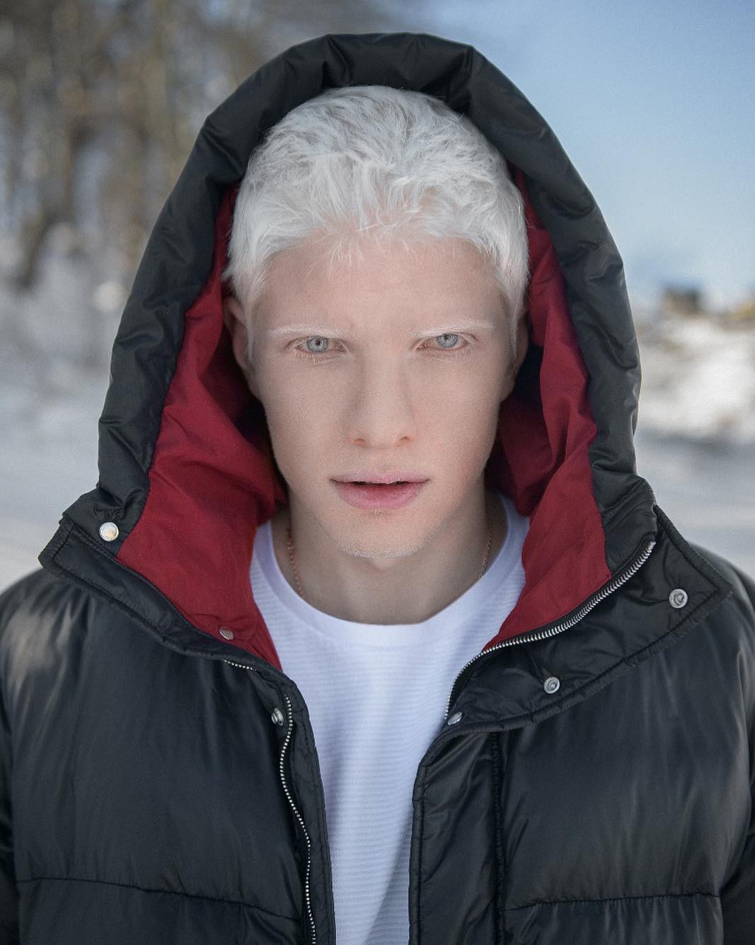 Певец альбинос бера