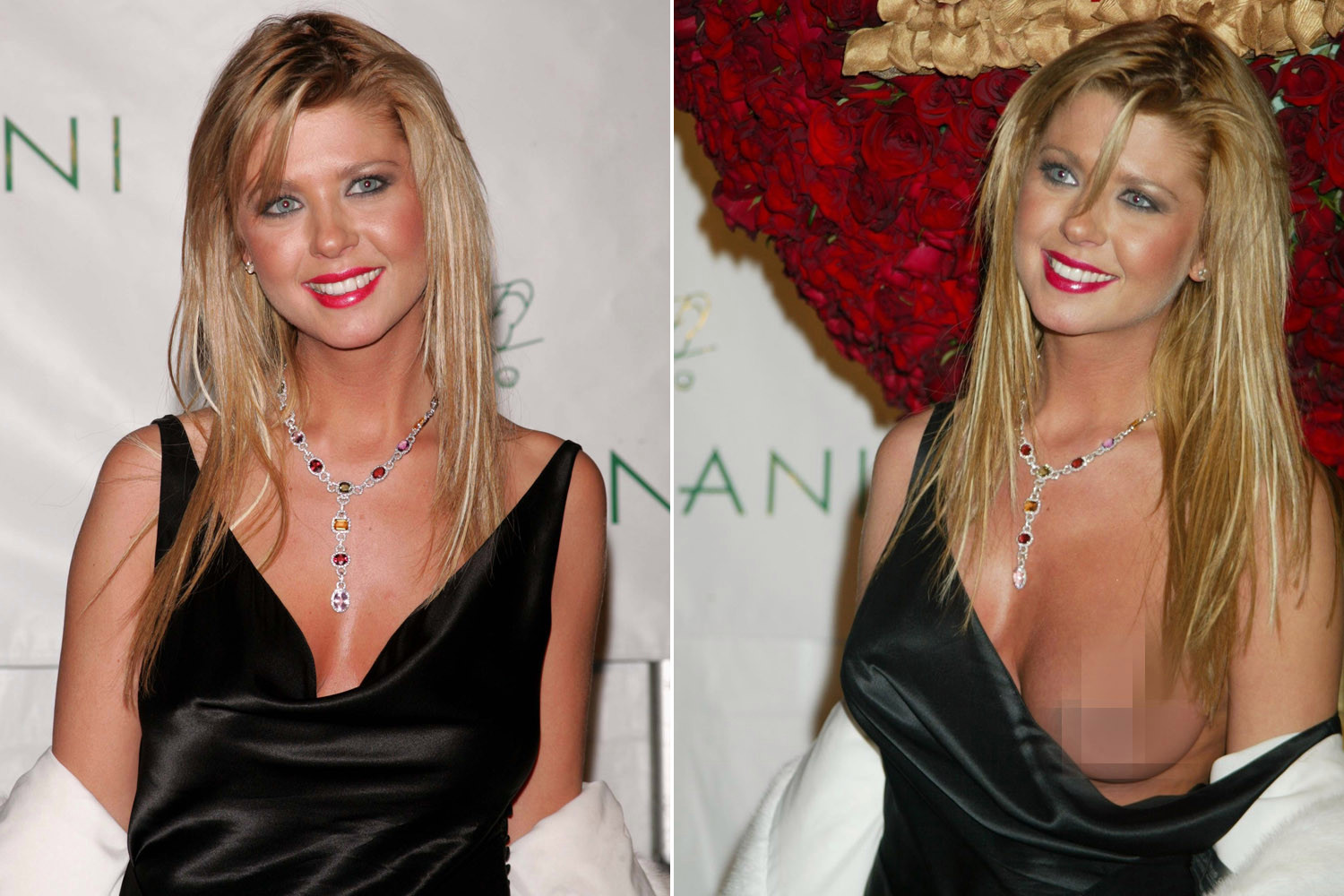 Tara Reid Nip Slip Uncensored