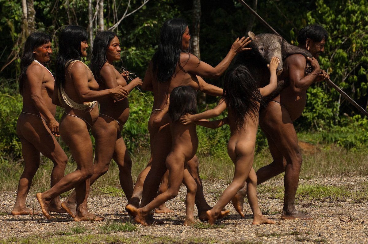 Как сегодня живет дикое племя амазонских джунглей ваорани 