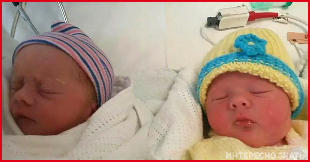 методичка для беременных женщин. роды беременной женщины. роды беременных женщин. живот у беременных по месяцам. что нужно знать беременной.