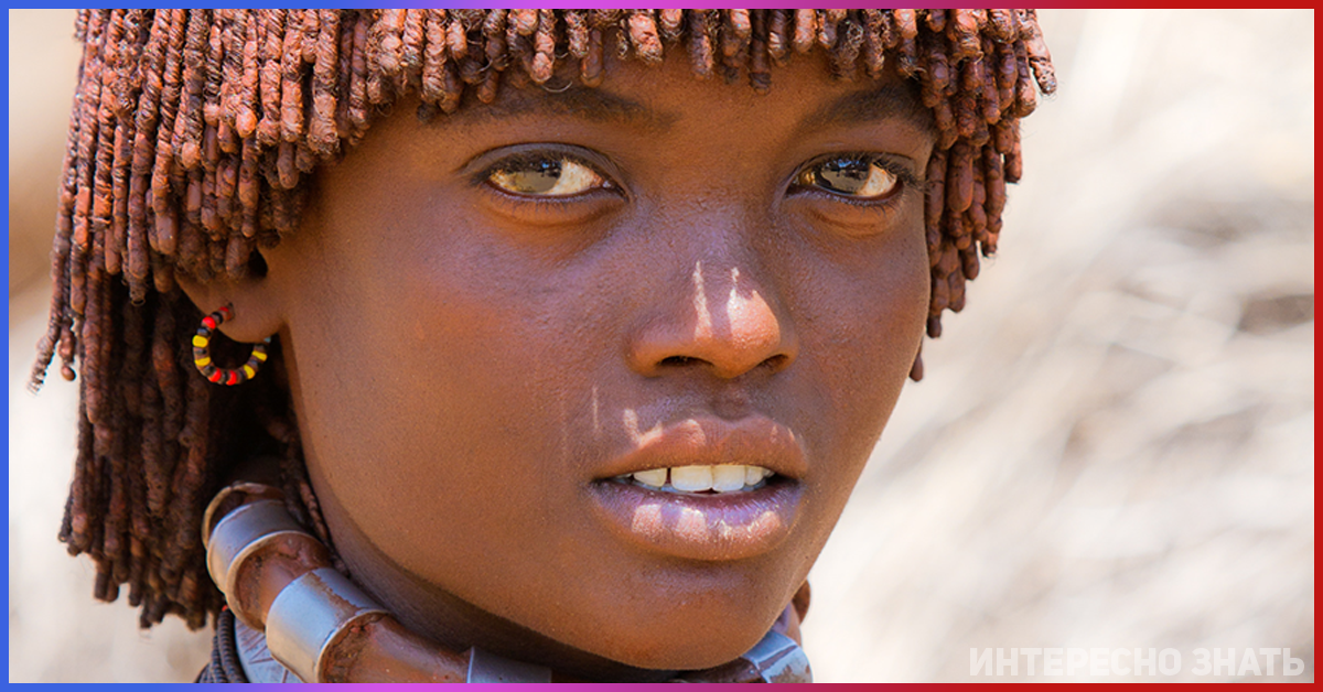 Девушка племени Хамер Эфиопия. Мурси, Масаи, бушмены, Химба. Племя Мурси Хамер Эфиопия. Химба Намибия. Nation africa