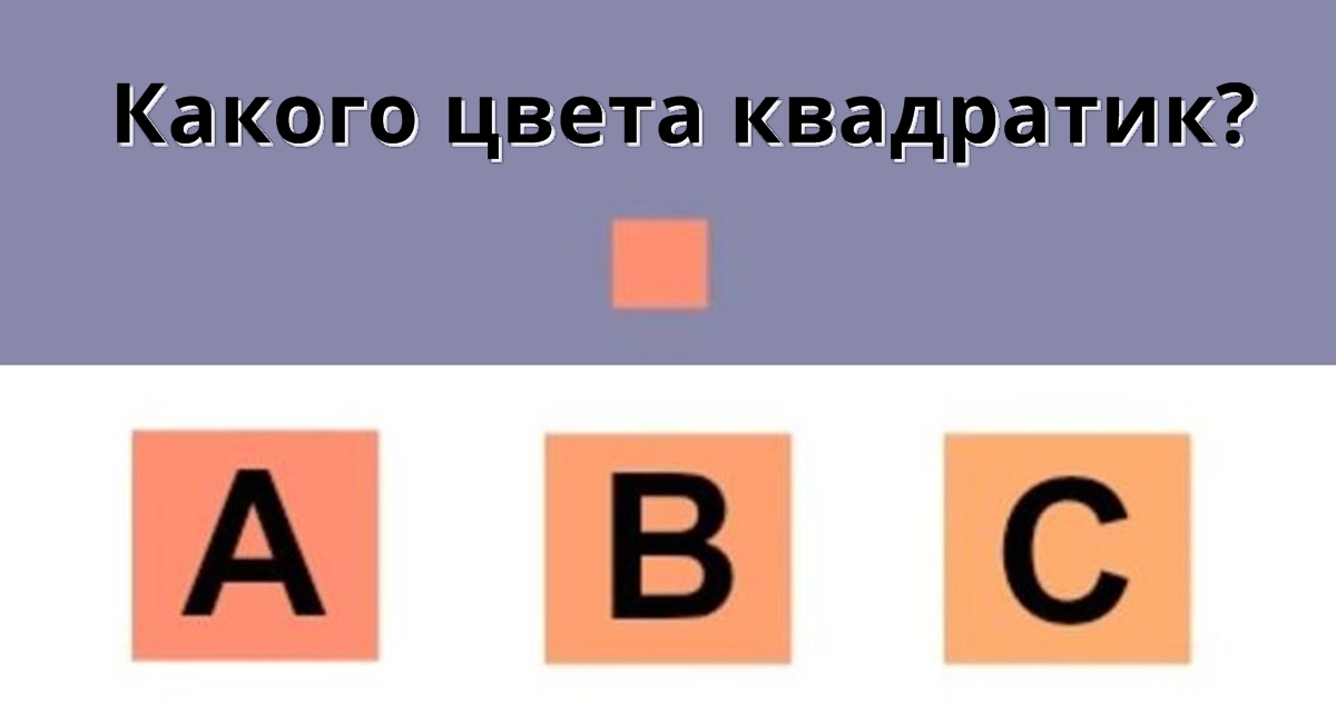 Какого цвета квадрат. Quiz тесты. Type of Test. Quiz Test.