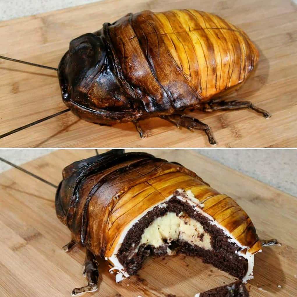 Торт с жуками
