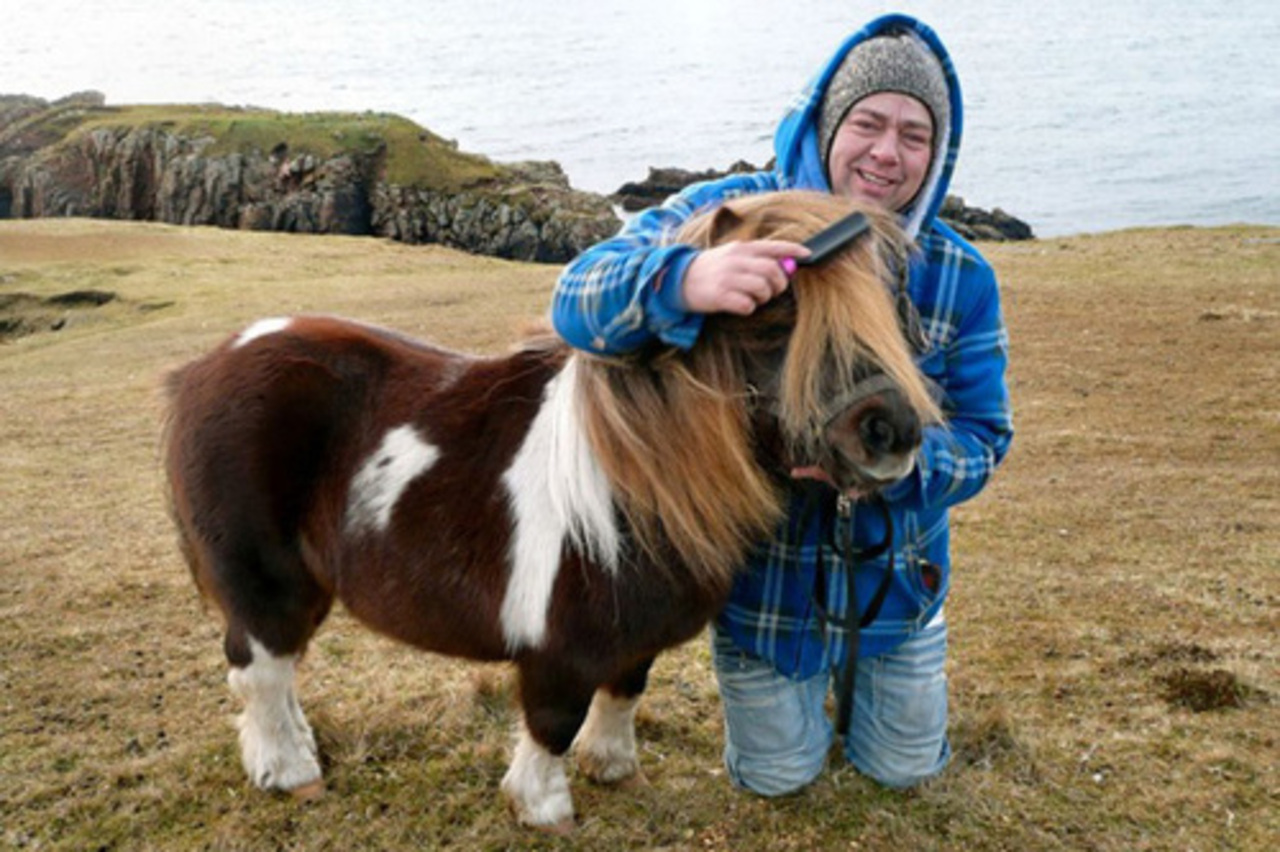 Шетлендский пони