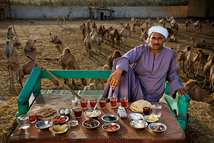 Camel broker Saleh Abdul Fadlallah with his day's worth of food at the Birqash Camel Market outside Cairo, Egypt. (From the book What I Eat: Around the World in 80 Diets.) The caloric value of his day's worth of food on a typical day in the month of April was 3200 kcals.  He is 40 years of age; 5 feet, 8 inches tall; and 165 pounds. Contrary to popular belief, camels’ humps don’t store water; they are a reservoir of fatty tissue that minimizes the need for heat-trapping insulation in the rest of their bodies; the dromedary, or Arabian camel, has a single hump, while Asian camels have two. Camels are well suited for desert climes: their long legs and huge, two-toed feet with leathery pads enable them to walk easily in sand, and their eyelids, nostrils, and thick coat protect them from heat and blowing sand. These characteristics, along with their ability to eat thorny vegetation and derive sufficient moisture from tough green herbage, allow camels to survive in very inhospitable terrain. MODEL RELEASED.