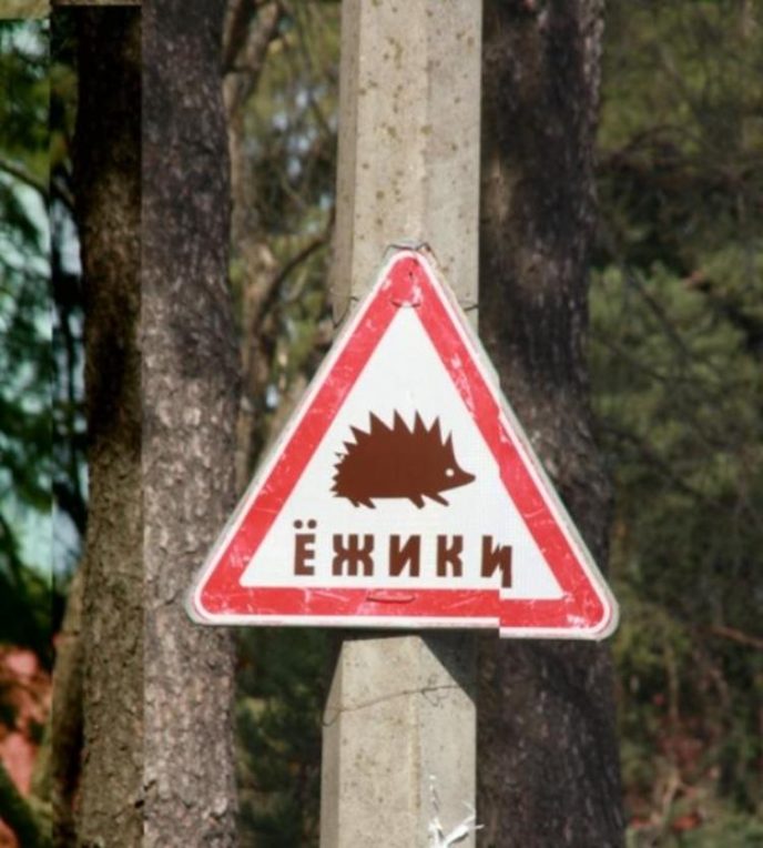 Такое могло быть только в России: 12 веселых дорожных знаков с просторов нашей страны 46