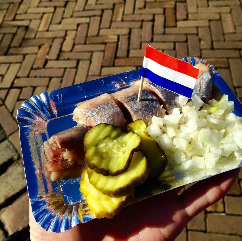 Блюда голландии